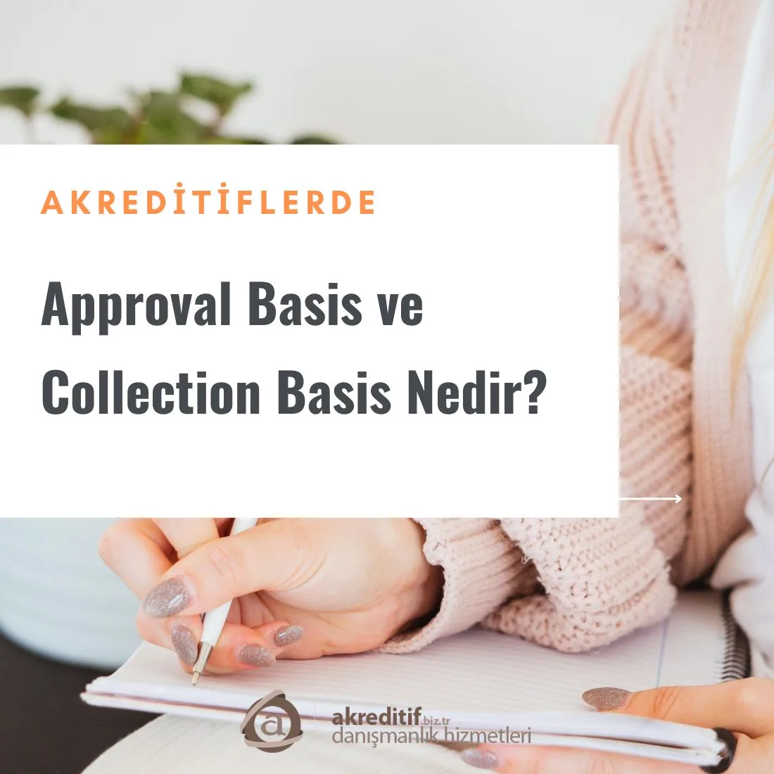 Approval Basis ve Collection Basis