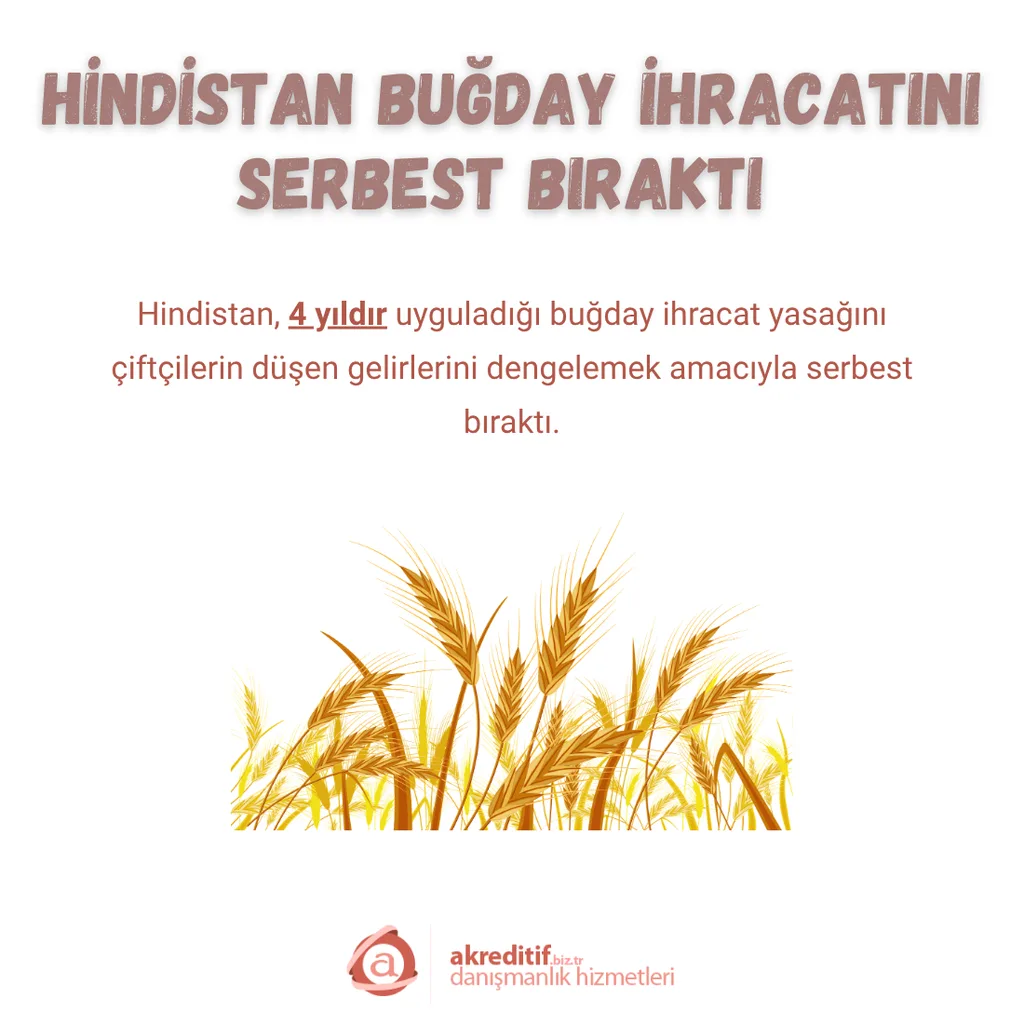 Hindistan Buğday İhracatını Serbest Bıraktı