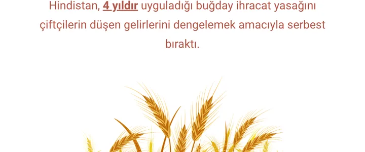 Hindistan Buğday İhracatını Serbest Bıraktı Hindistan Buğday İhracatını Serbest Bıraktı